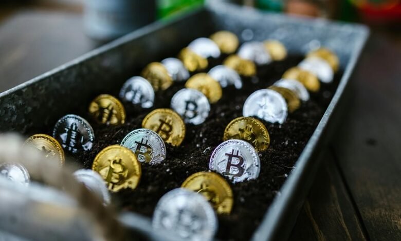 stock investment millionaire guide