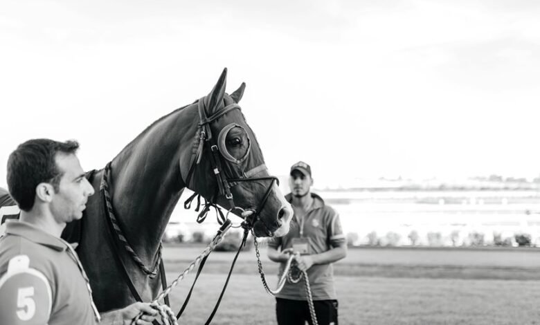 network coordination process evaluation