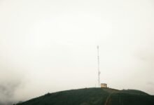 numerical data record summary