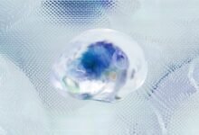 performance pattern intelligence data