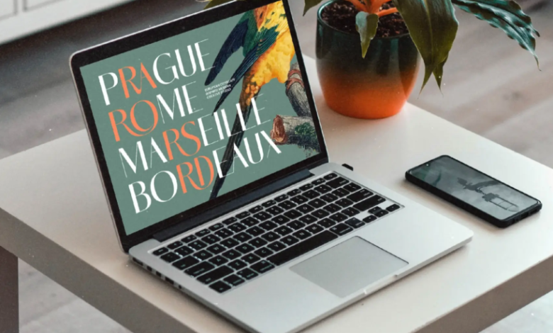 Sans Serif Fonts Guide for Modern Design Style