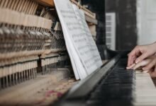 the ultimate javleav beginner s guide